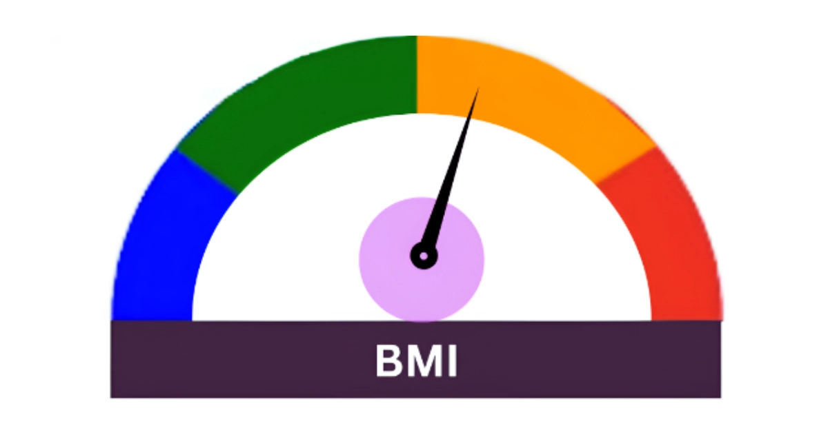 BMI logi